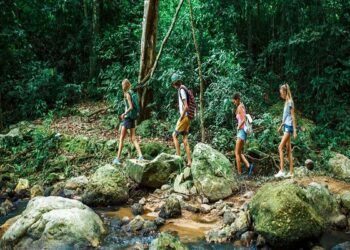 विमान क्रेश के दो सप्ताह बाद मिले 4 जीवित बच्चे