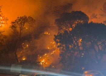 माता चितंपूर्णी के रास्ते में पहाड़ी जगलों में लगी भीषण आग