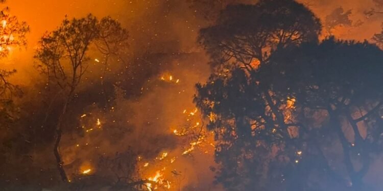 माता चितंपूर्णी के रास्ते में पहाड़ी जगलों में लगी भीषण आग